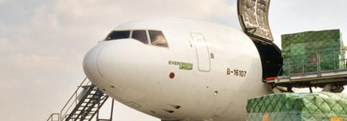 Customs Clearing Terminal
